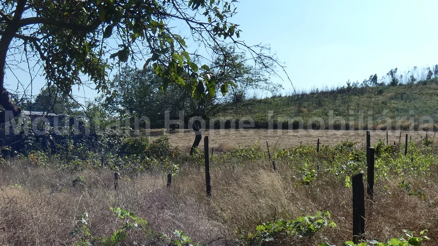 Quinta T0 para Venda em São Gião