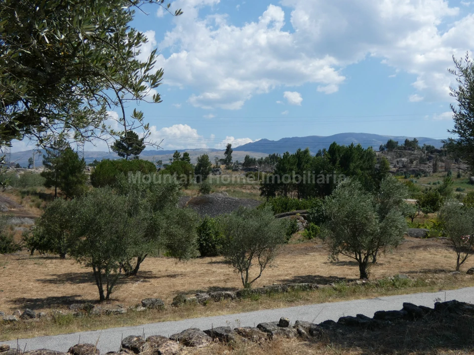 Quinta T0 para Venda em Arcozelo Foto 3