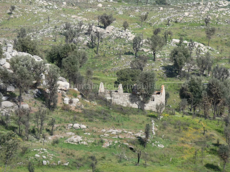 Quinta T0 para Venda em Abrunhosa-A-Velha Foto 7