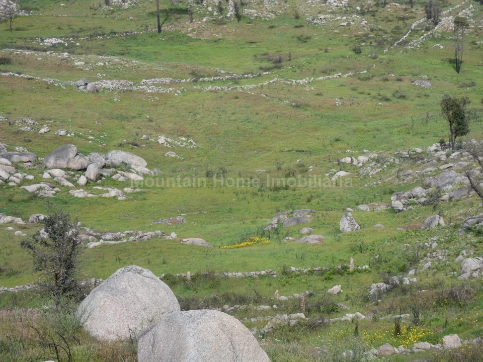 Quinta T0 para Venda em Abrunhosa-A-Velha Foto 8