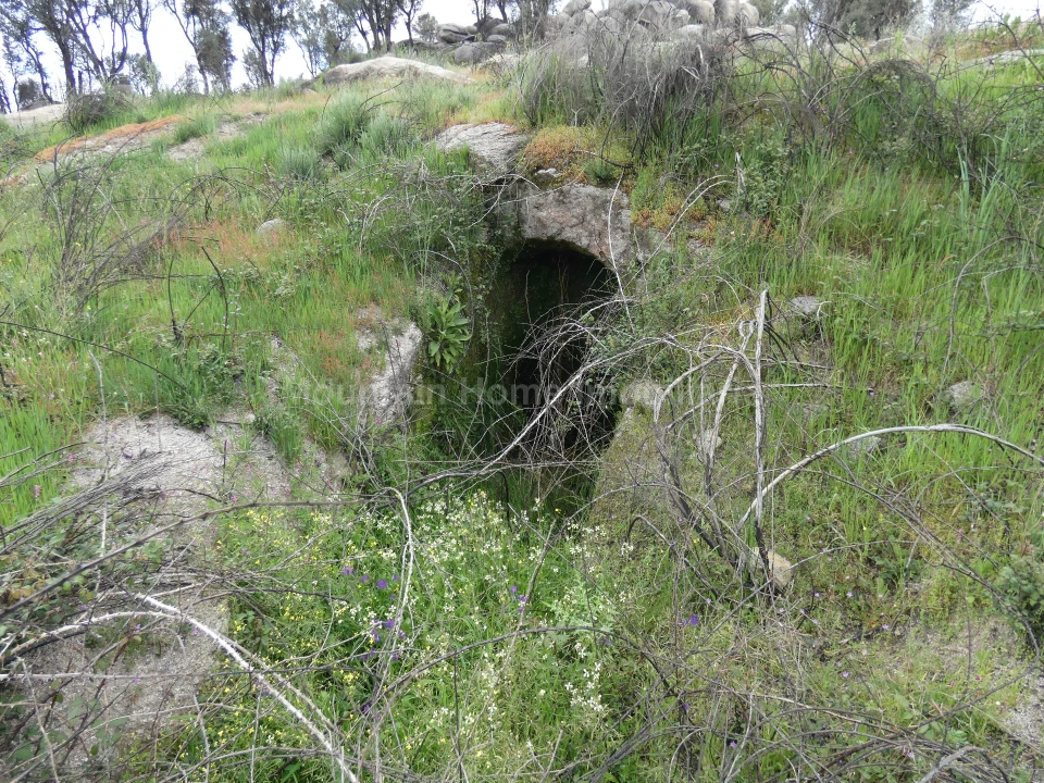 Quinta T0 para Venda em Abrunhosa-A-Velha Foto 11