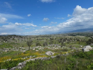 Quinta T0 para Venda em Abrunhosa-A-Velha
