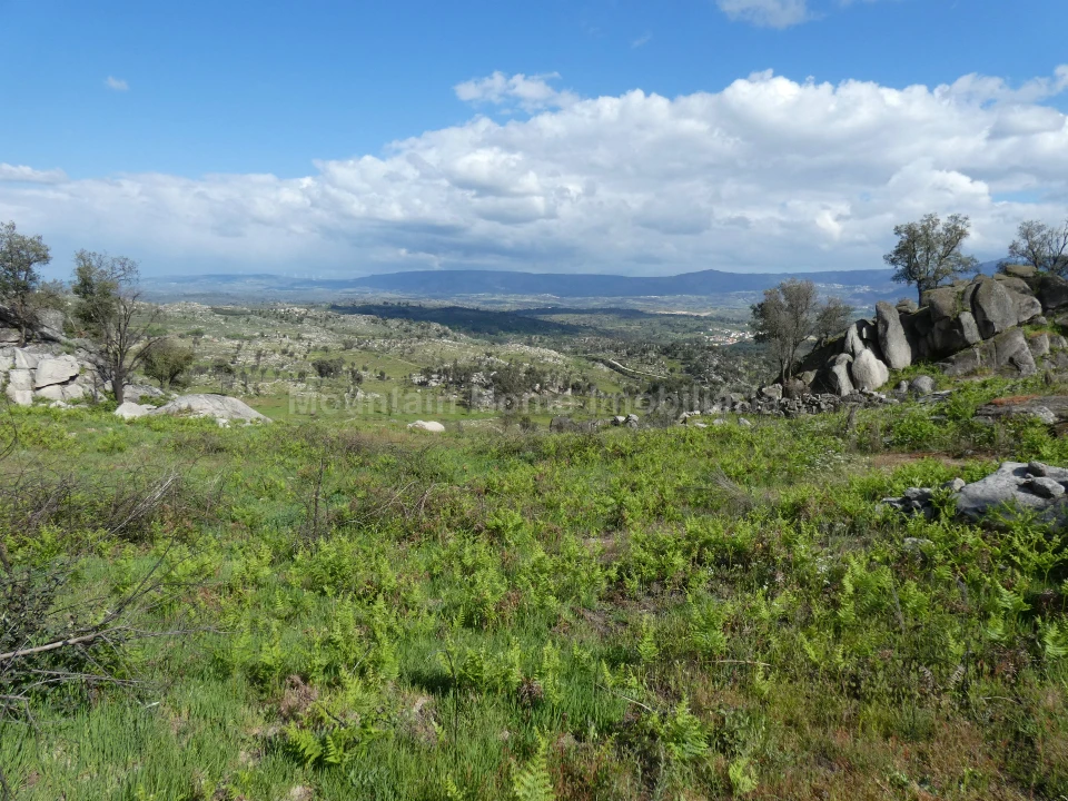 Quinta T0 para Venda em Abrunhosa-A-Velha Foto 2
