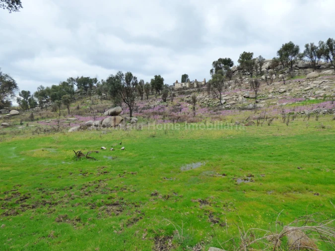Quinta T0 para Venda em Abrunhosa-A-Velha Foto 15