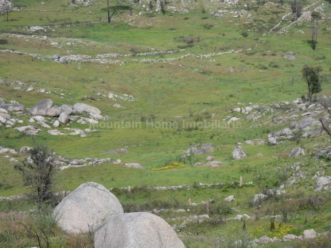 Quinta T0 para Venda em Abrunhosa-A-Velha Foto 8