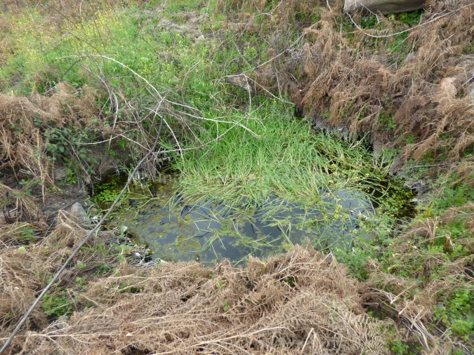 Quinta T0 para Venda em Abrunhosa-A-Velha Foto 17