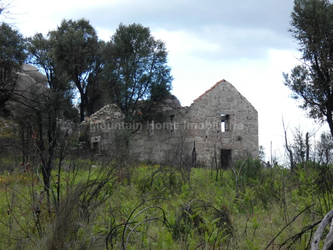 Quinta T0 para Venda em Abrunhosa-A-Velha Foto 13