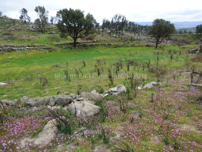 Quinta T0 para Venda em Abrunhosa-A-Velha Foto 18
