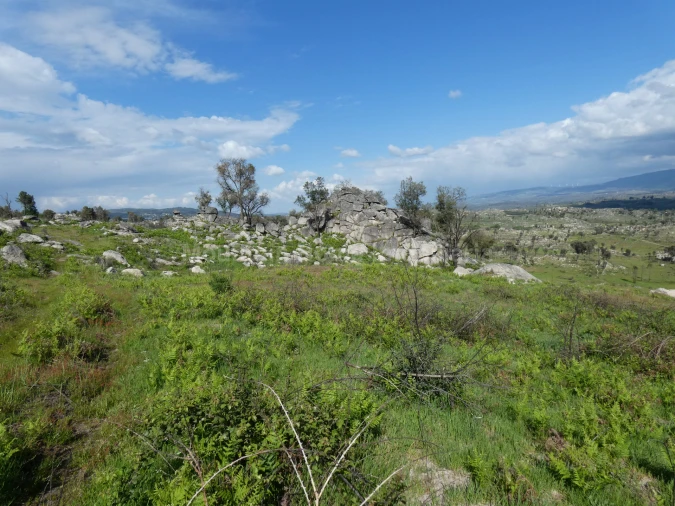 Quinta T0 para Venda em Abrunhosa-A-Velha Foto 3