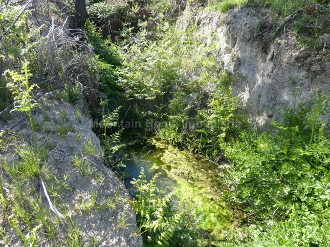 Quinta T0 para Venda em Abrunhosa-A-Velha Foto 5