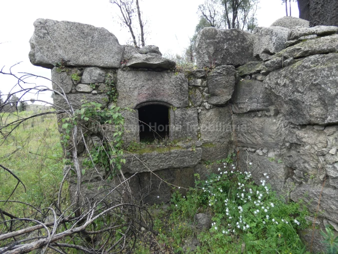 Quinta T0 para Venda em Abrunhosa-A-Velha Foto 12
