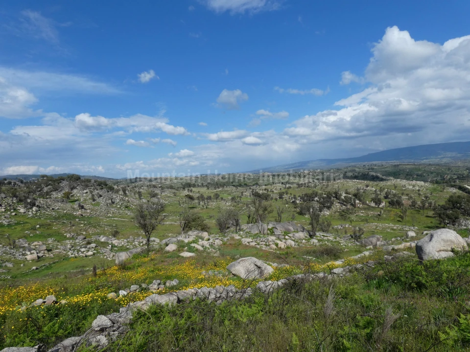 Quinta T0 para Venda em Abrunhosa-A-Velha Foto 6