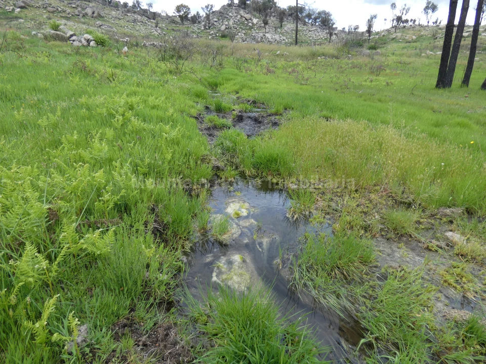 Quinta T0 para Venda em Abrunhosa-A-Velha Foto 14