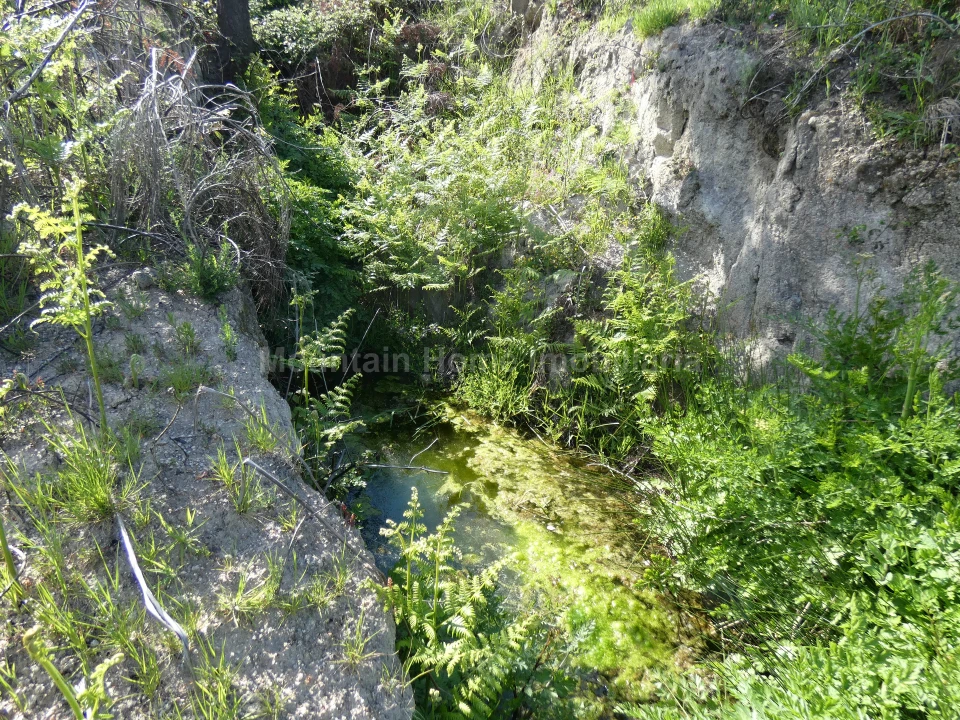 Quinta T0 para Venda em Abrunhosa-A-Velha Foto 5