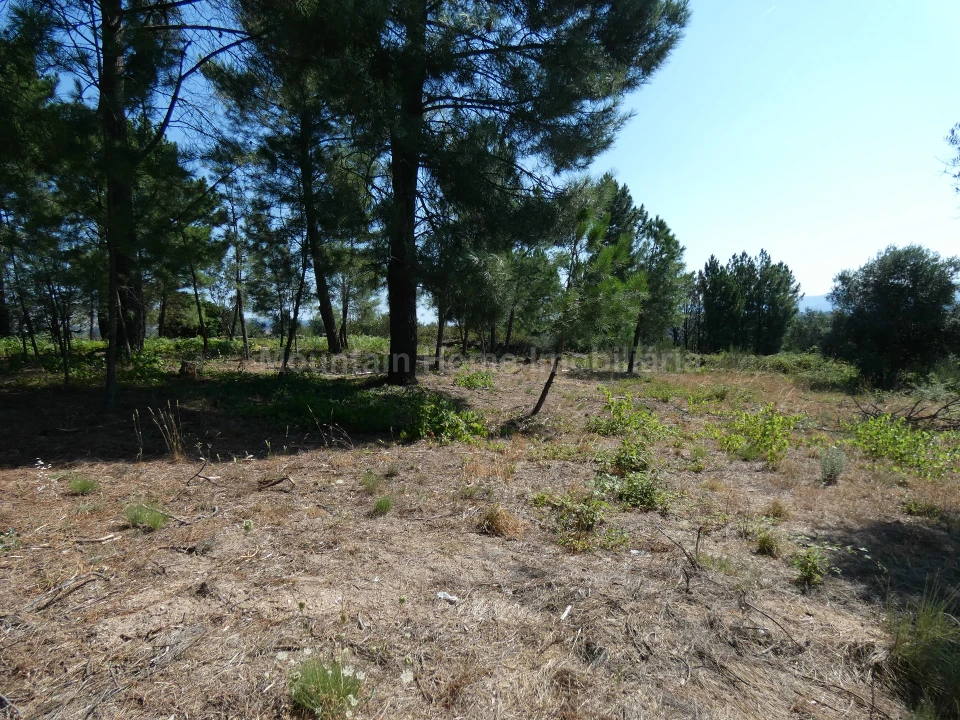Terreno para Venda em Cativelos Foto 1