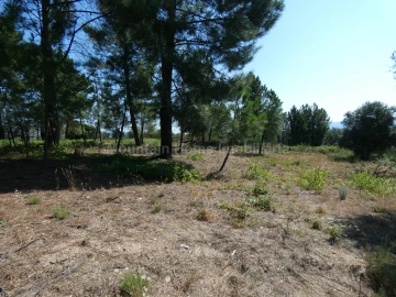 Terreno para Venda em Cativelos