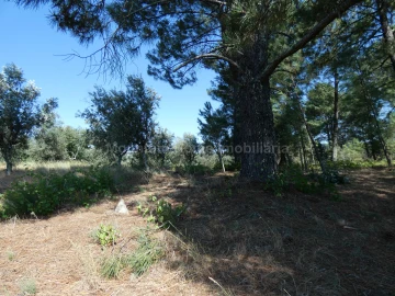 Terreno para Venda em Cativelos