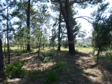 Terreno para Venda em Cativelos