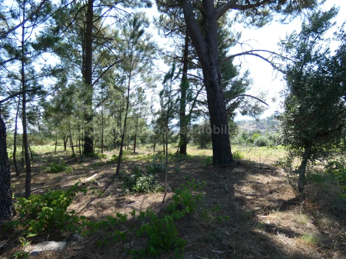 Terreno para Venda em Cativelos Foto 5