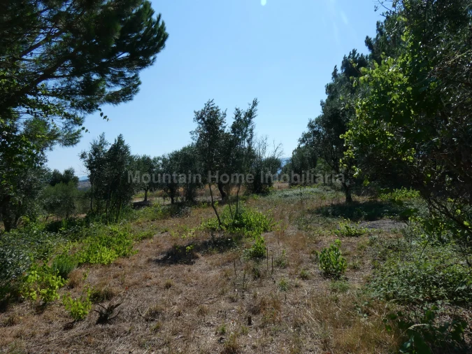 Terreno para Venda em Cativelos Foto 6