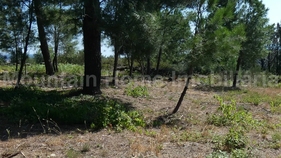 Terreno para Venda em Cativelos