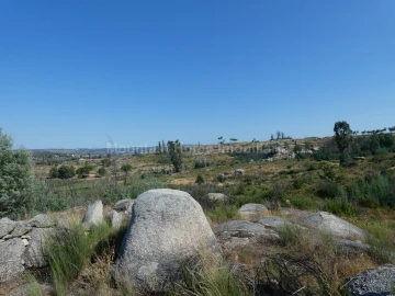 Terreno para Venda em Vila Nova de Tazem