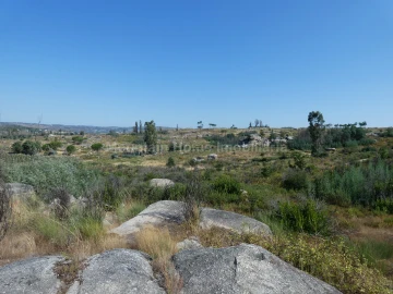 Terreno para Venda em Vila Nova de Tazem