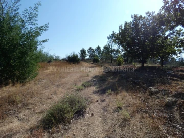Terreno para Venda em Vila Nova de Tazem