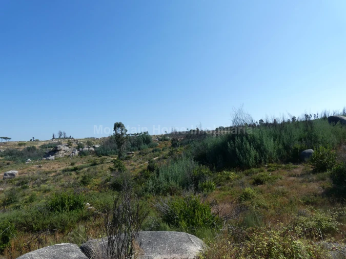 Terreno para Venda em Vila Nova de Tazem Foto 2