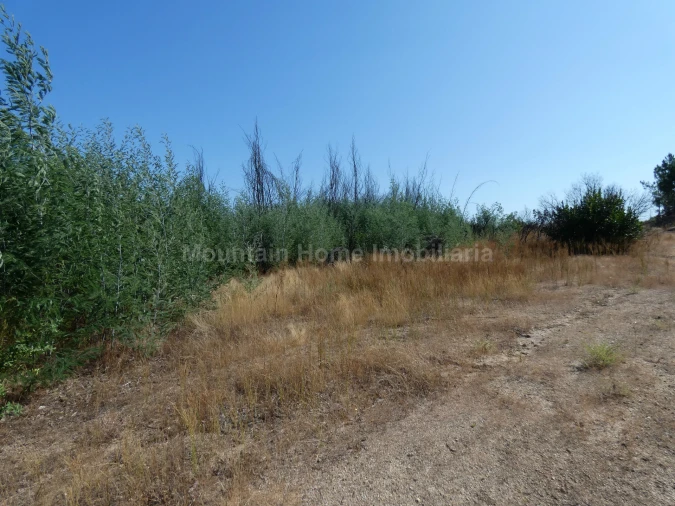 Terreno para Venda em Vila Nova de Tazem Foto 4