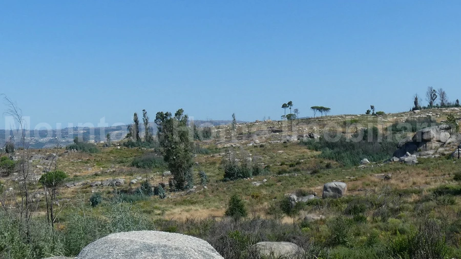 Terreno para Venda em Vila Nova de Tazem