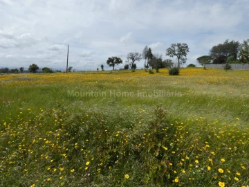 Moradia T2 para Venda em Travanca de Lagos