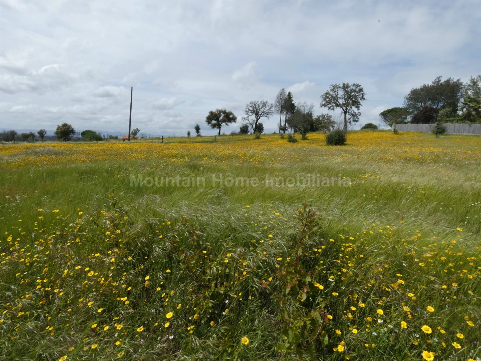 Moradia T2 para Venda em Travanca de Lagos Foto 21