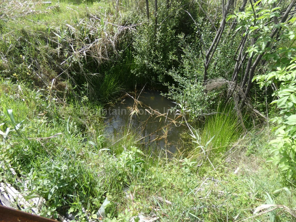 Moradia T2 para Venda em Travanca de Lagos Foto 24