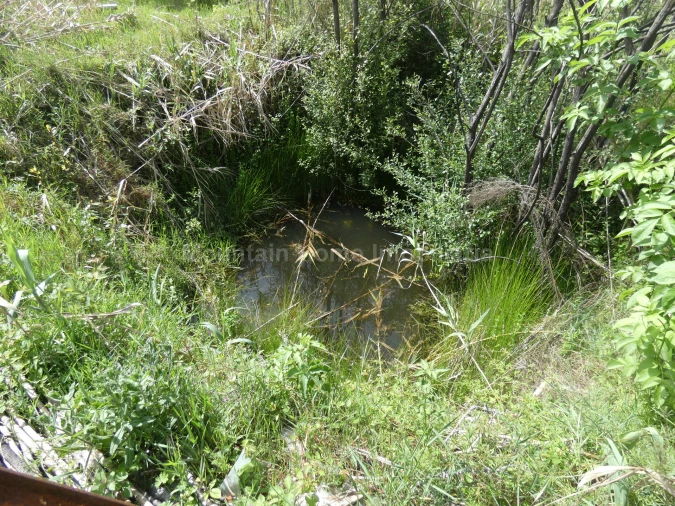 Moradia T2 para Venda em Travanca de Lagos Foto 24