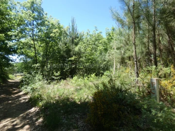 Terreno para Venda em Santiago