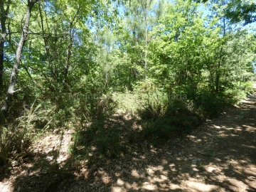 Terreno para Venda em Santiago