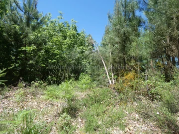 Terreno para Venda em Santiago