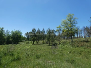 Terreno para Venda em Santiago