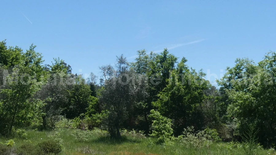 Terreno para Venda em Santiago