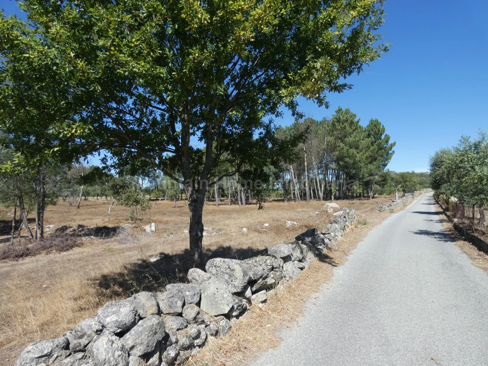 Quinta T0 para Venda em Vila Nova de Tazem Foto 7