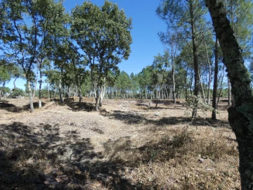 Quinta T0 para Venda em Vila Nova de Tazem