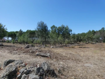 Quinta T0 para Venda em Vila Nova de Tazem