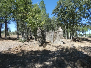 Quinta T0 para Venda em Vila Nova de Tazem