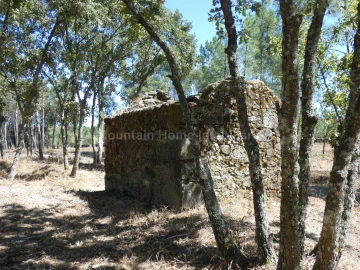 Quinta T0 para Venda em Vila Nova de Tazem