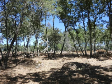 Quinta T0 para Venda em Vila Nova de Tazem