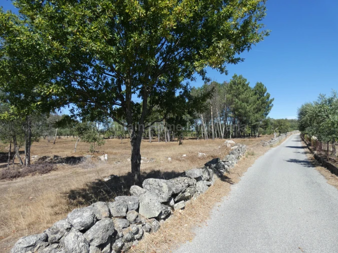 Quinta T0 para Venda em Vila Nova de Tazem Foto 7
