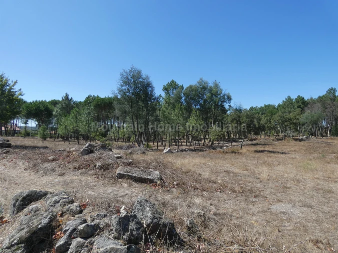Quinta T0 para Venda em Vila Nova de Tazem Foto 8