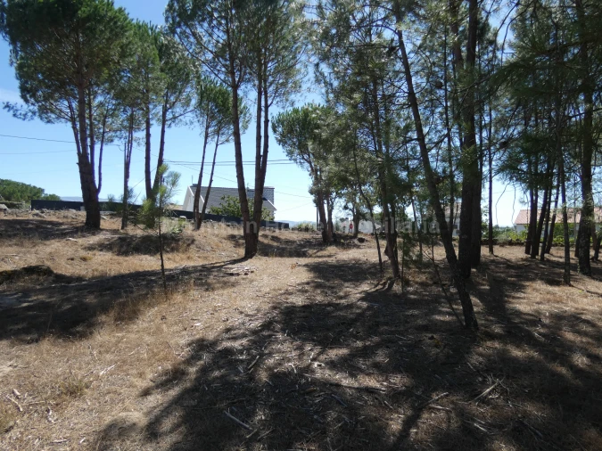 Quinta T0 para Venda em Vila Nova de Tazem Foto 6