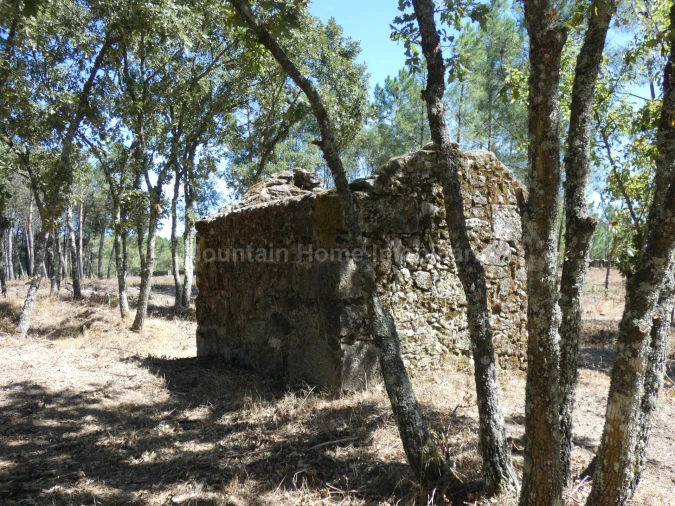 Quinta T0 para Venda em Vila Nova de Tazem Foto 2
